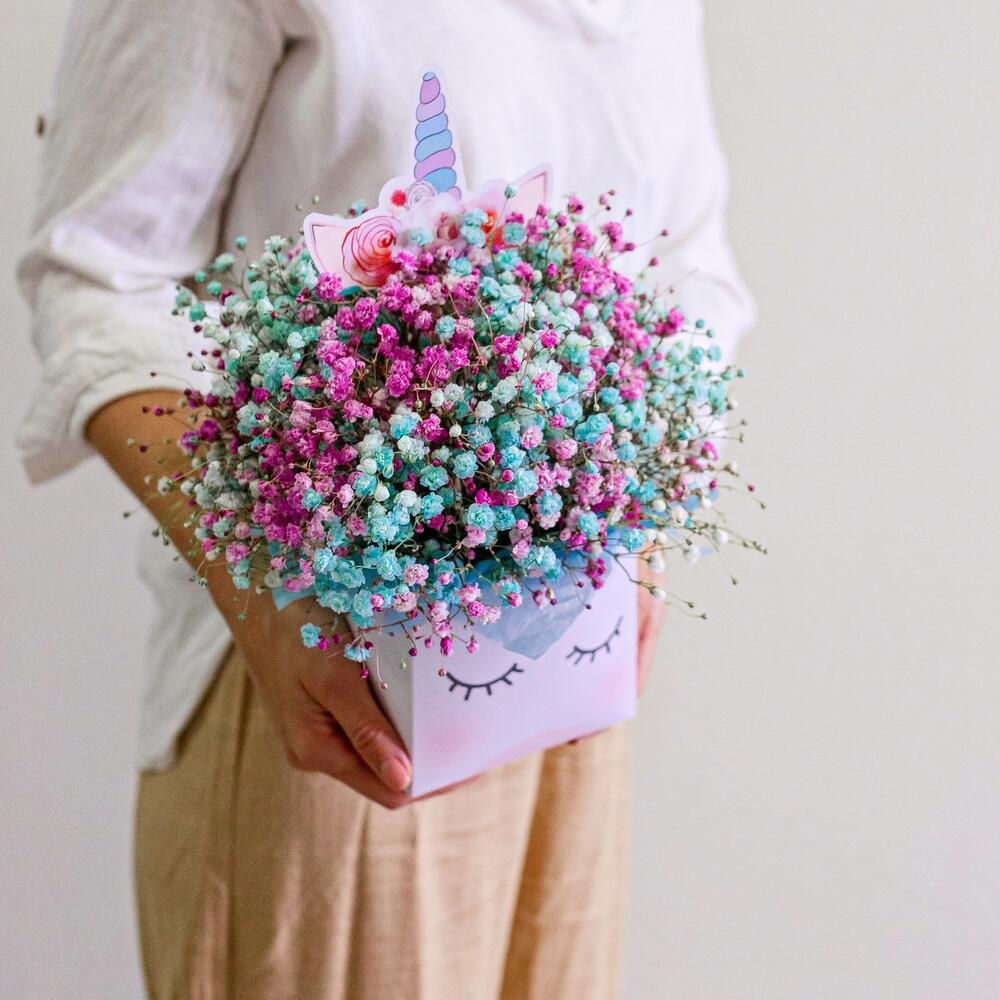 Воздушный единорог, гипсофила