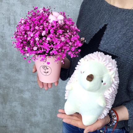 Розовый ёжик со стаканчиком розовой гипсофилы