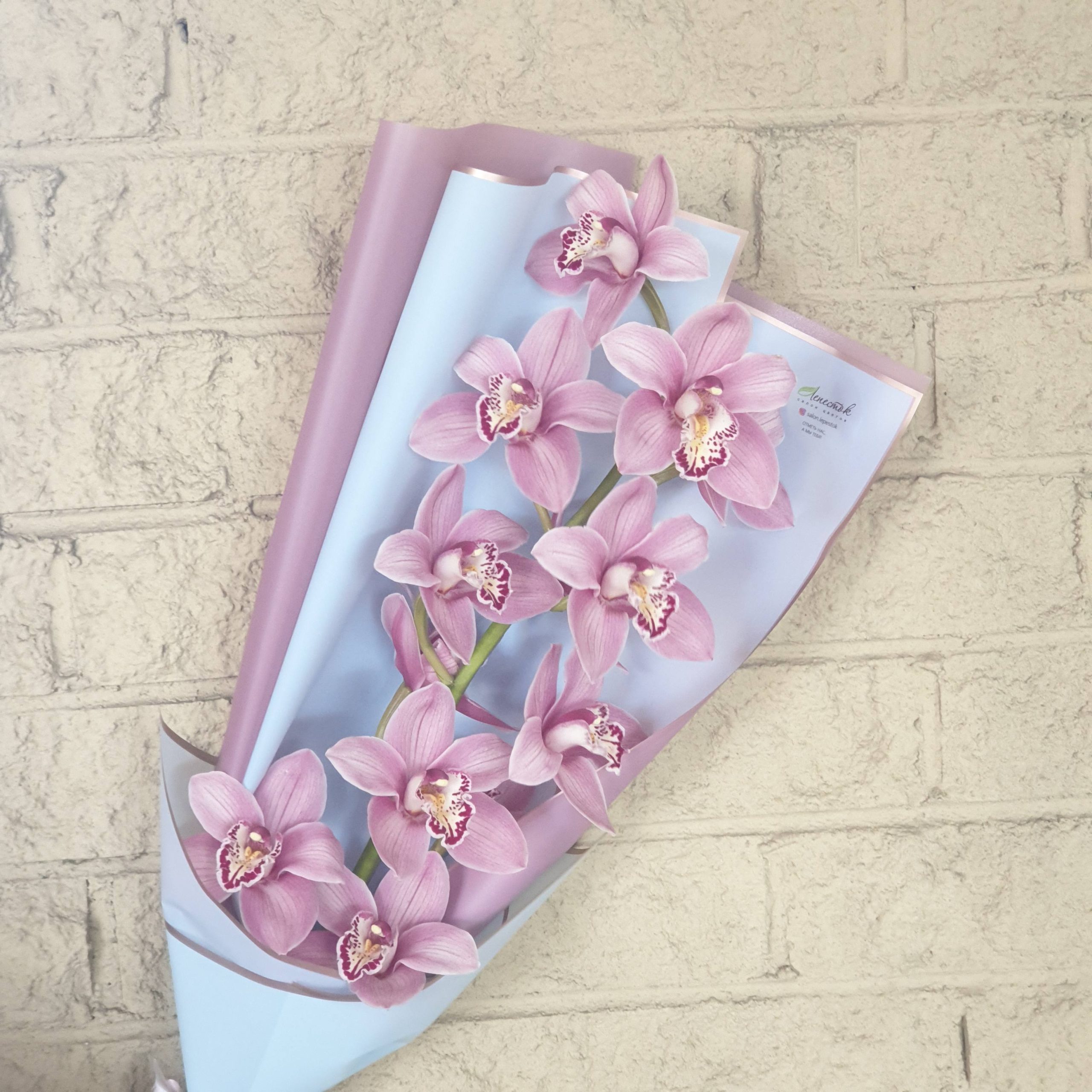 b8ba3f23-c8ff-4024-aef0-e6531d8192e1